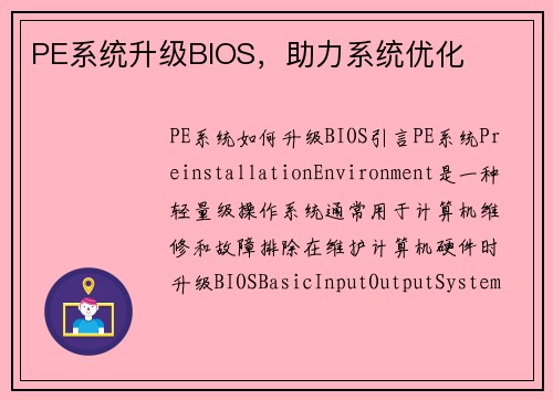 PE系统升级BIOS，助力系统优化